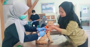 Dispaperta Sidoarjo Gelar Vaksinasi Rabies Massal untuk Hewan Peliharaan